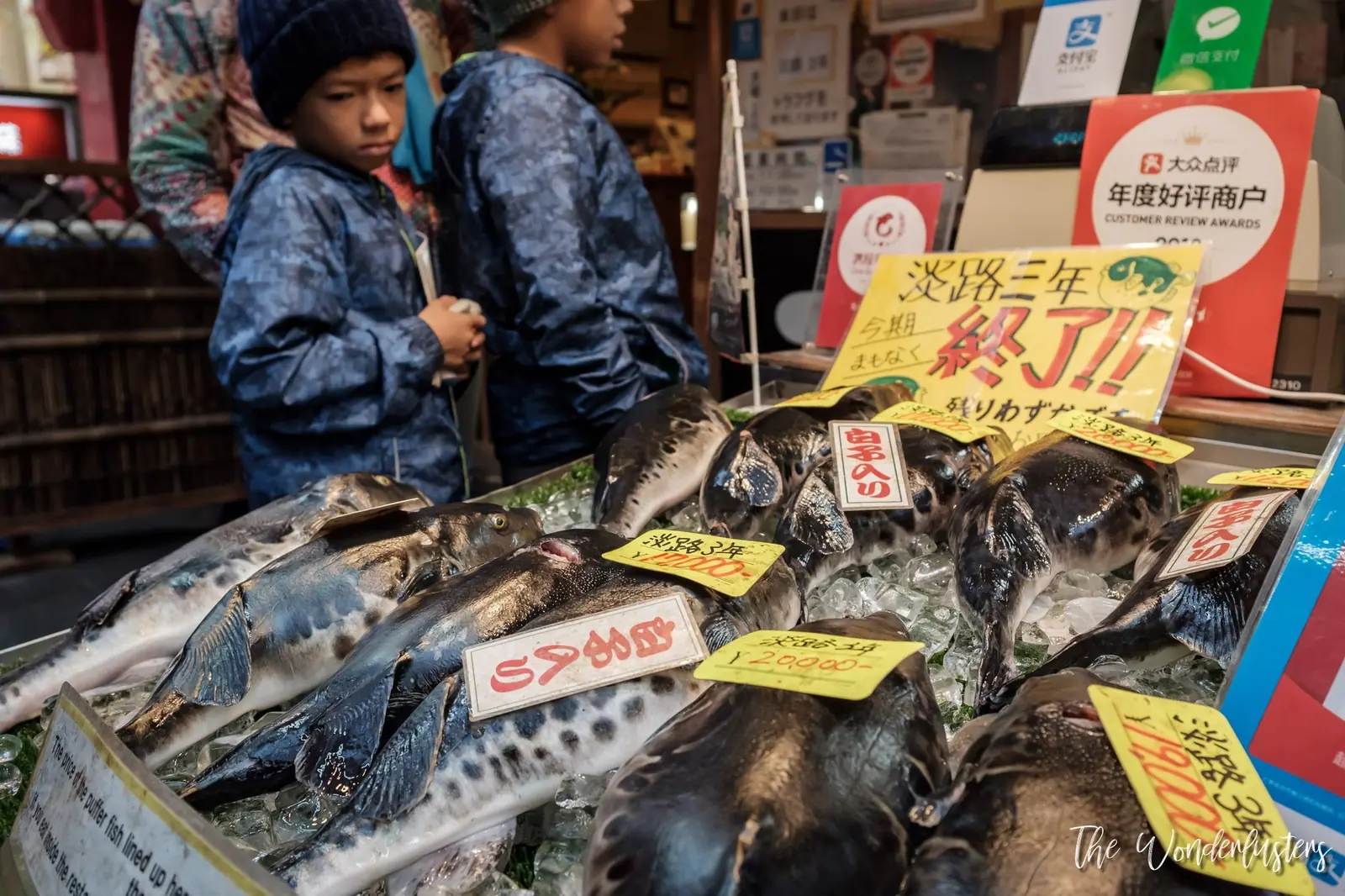 Fugu at Kuromon Ichiba Market