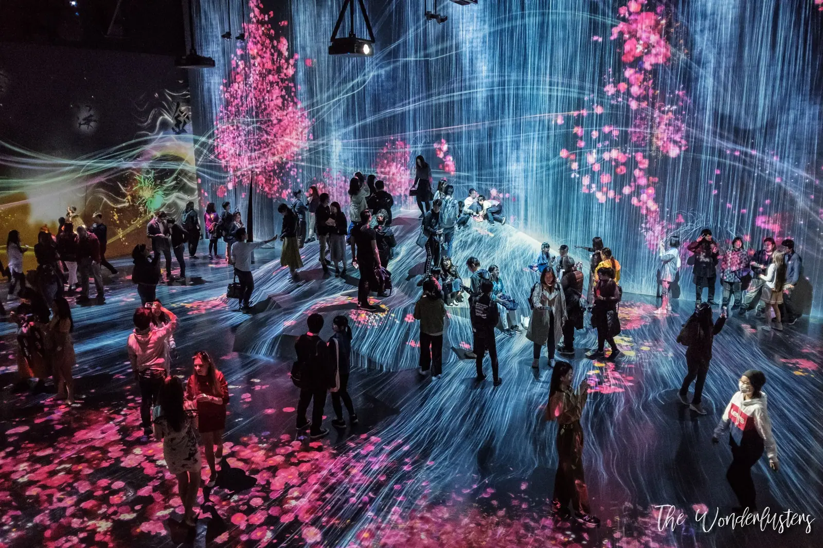 Teamlab Borderless