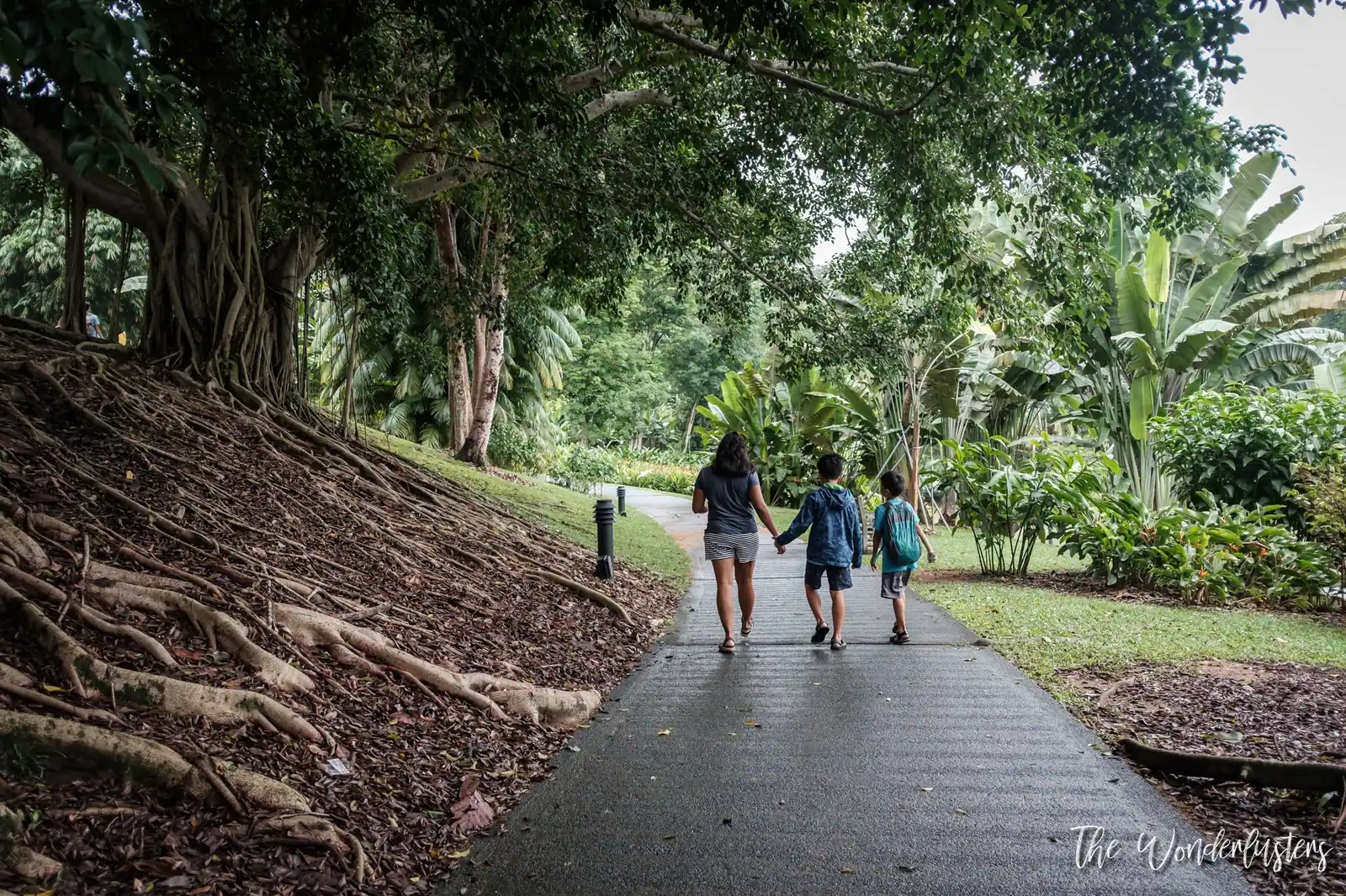 Singapore Botanic Gardens