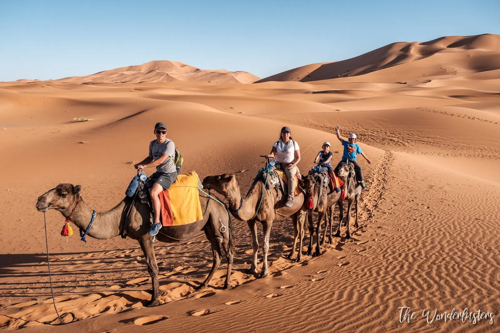 Sand dunes of Erg Chebbi, Morocco