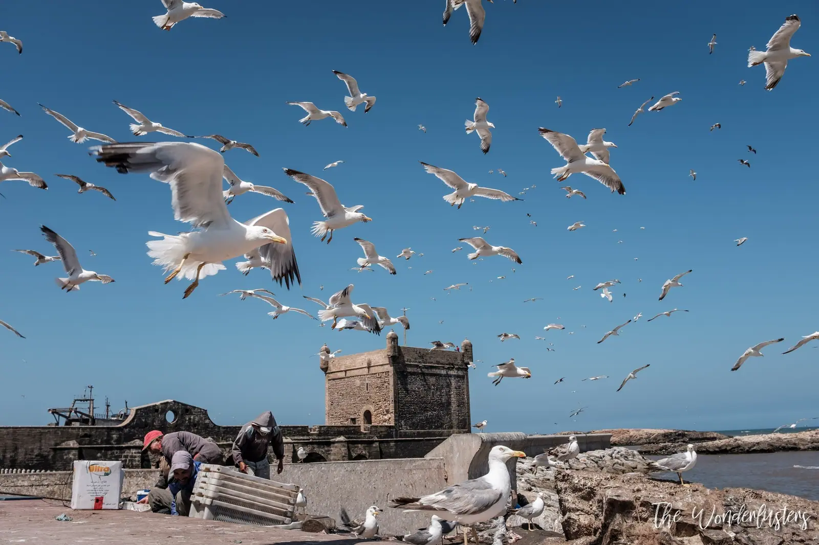 Blue fishing boats in the port of Essaouira