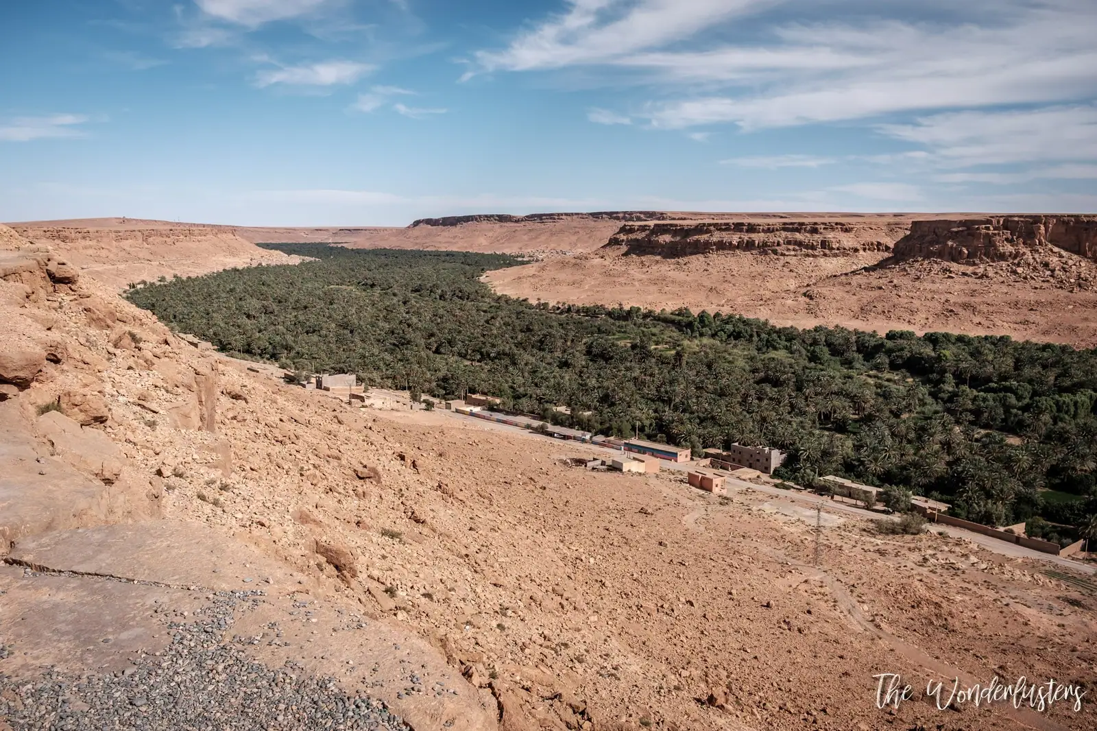 Palm groves of the Tafilalet oasis
