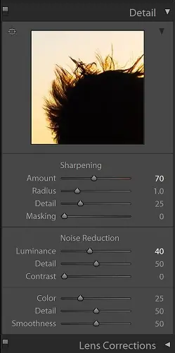 Detail settings in Lightroom