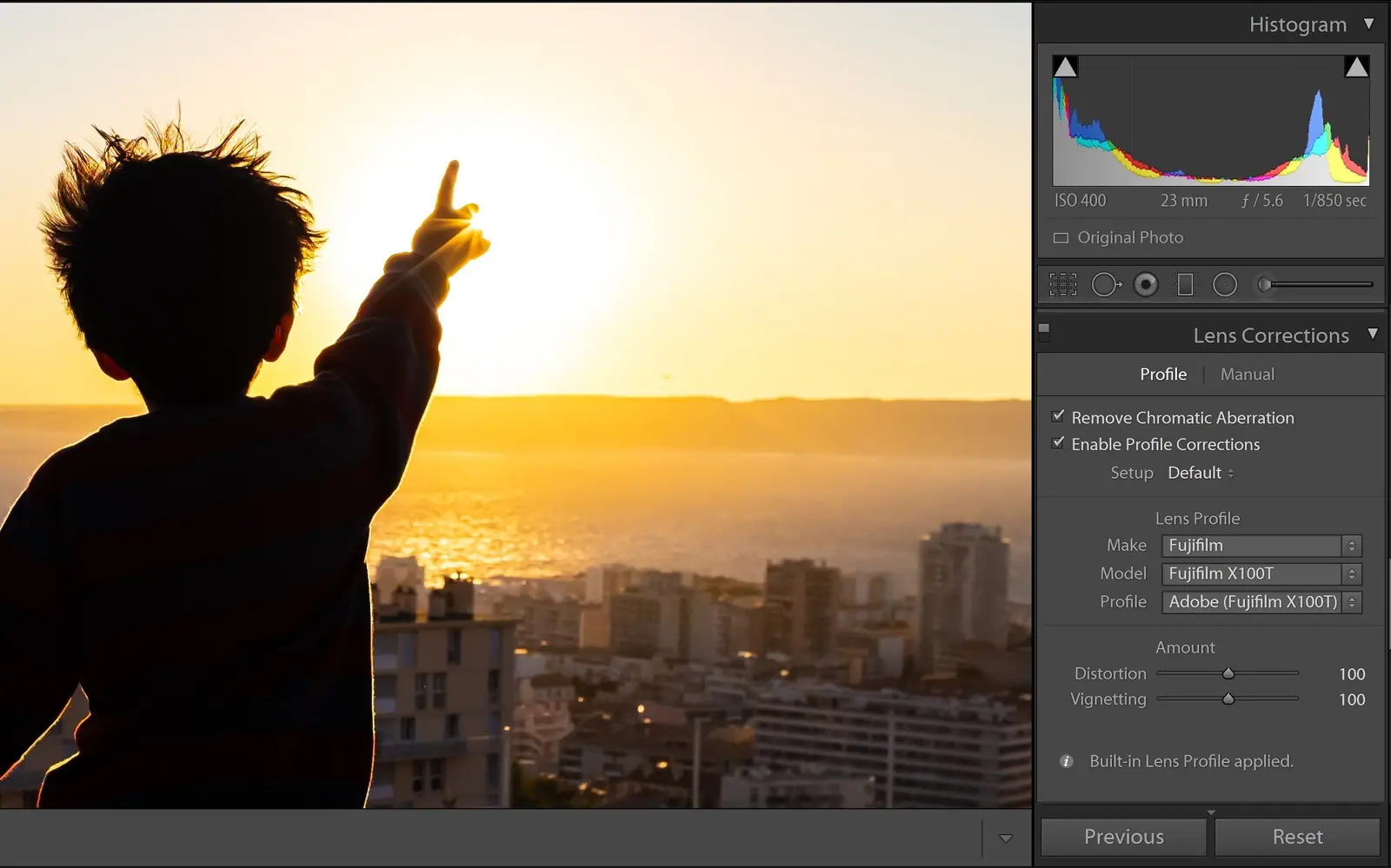 Lens Corrections panel in Lightroom