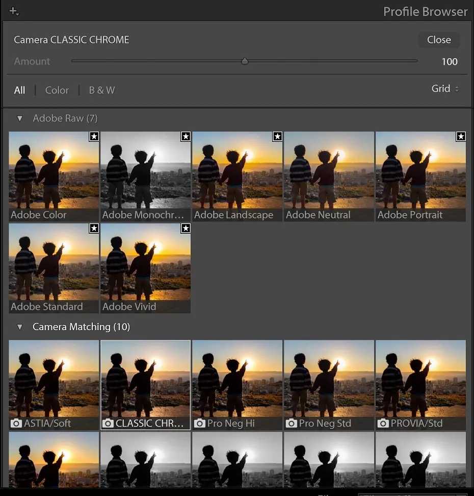 Profile Browser in Lightroom