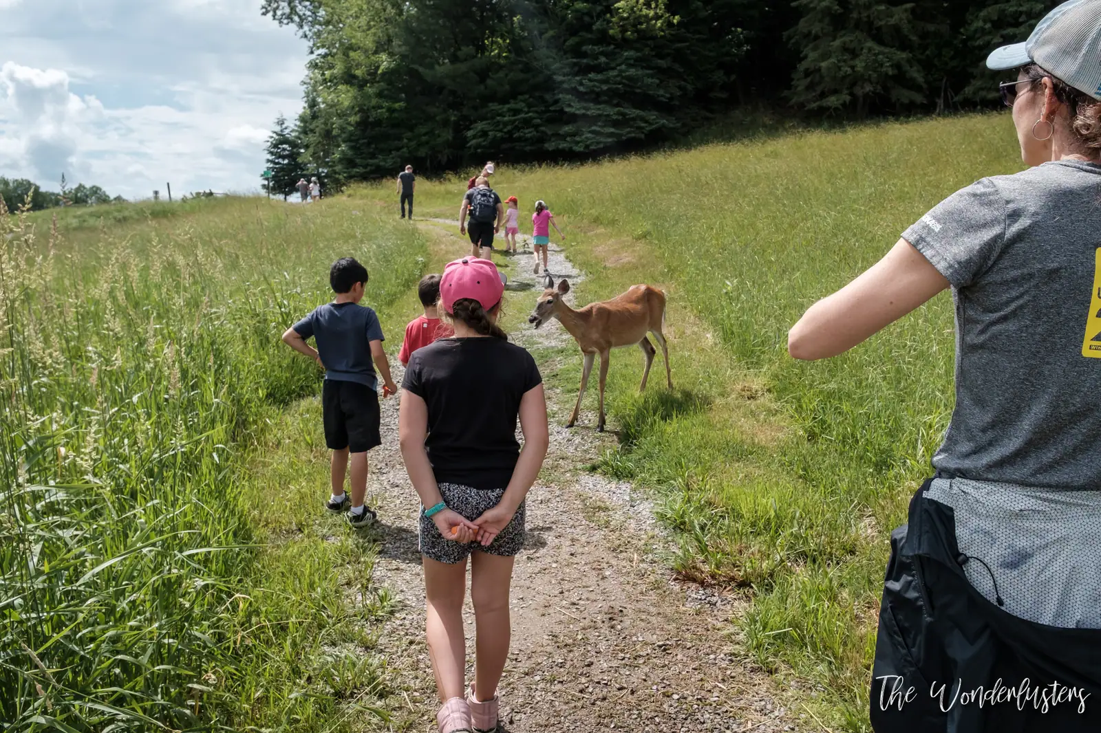 Walking trail to the old farm at Omega Park
