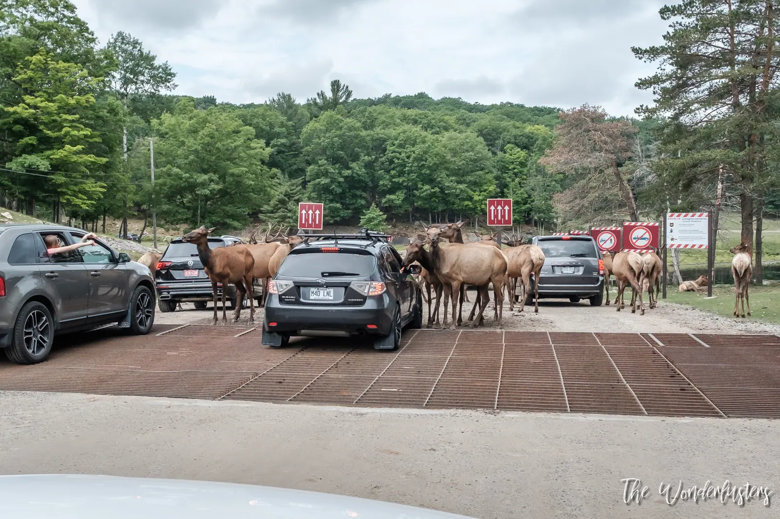 Entrance gate of Omega Park