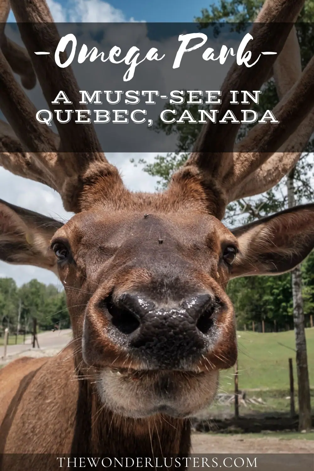 Omega Park
