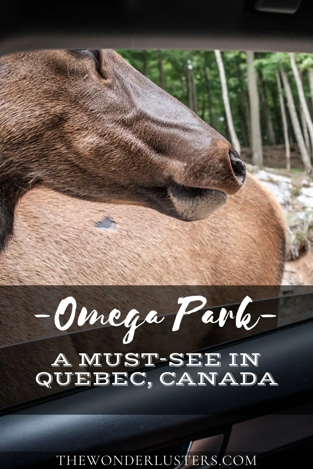Omega Park