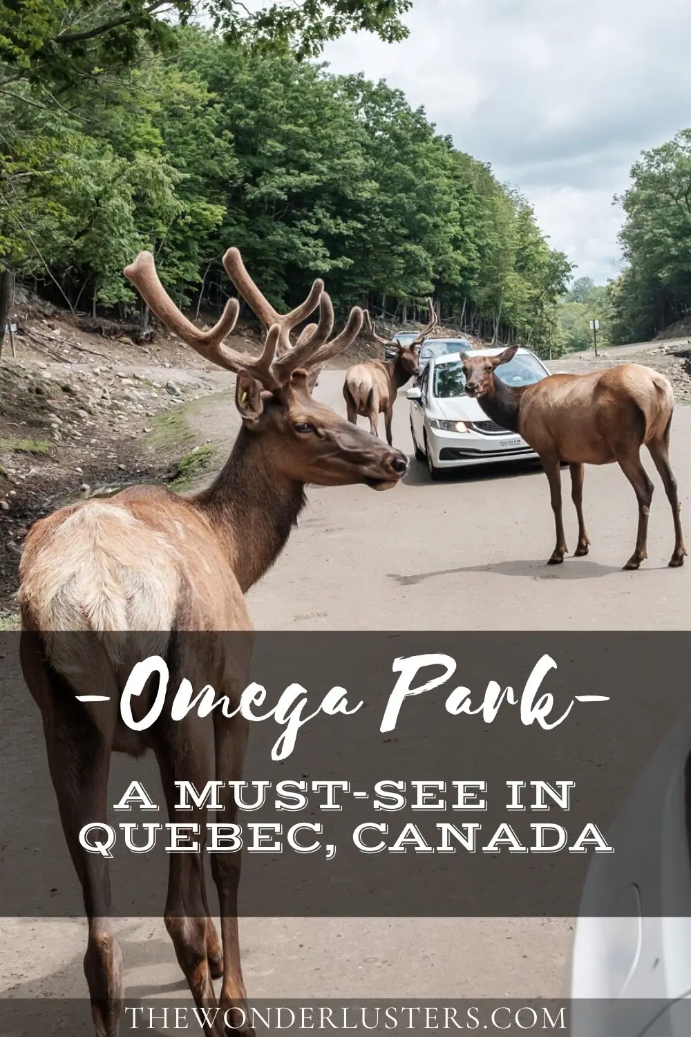 Omega Park