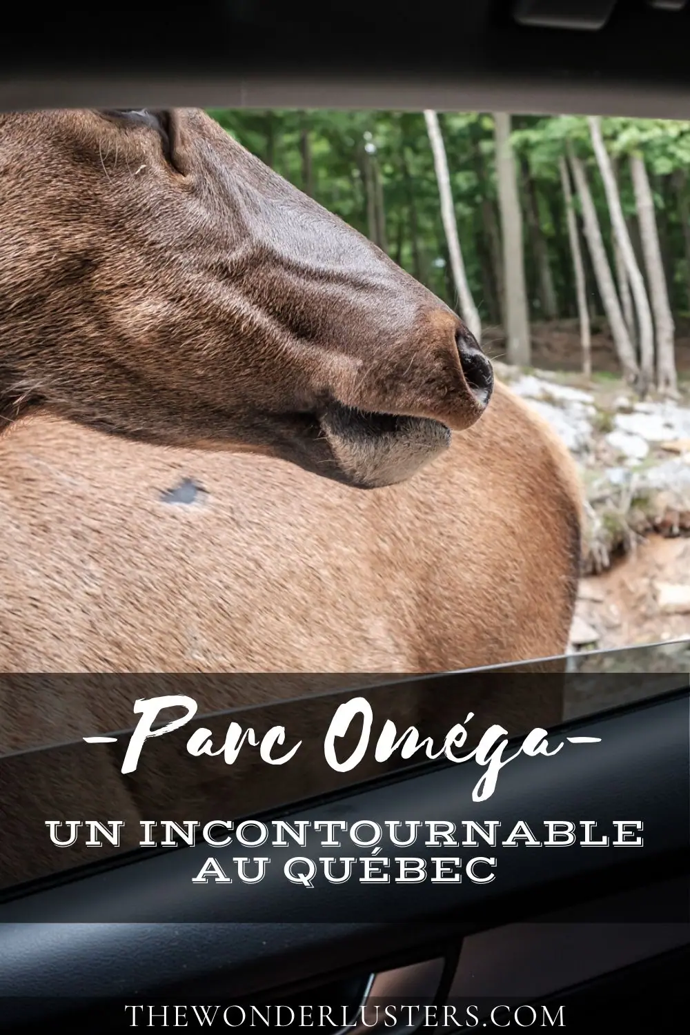Épingle Pinterest du Parc Oméga 1