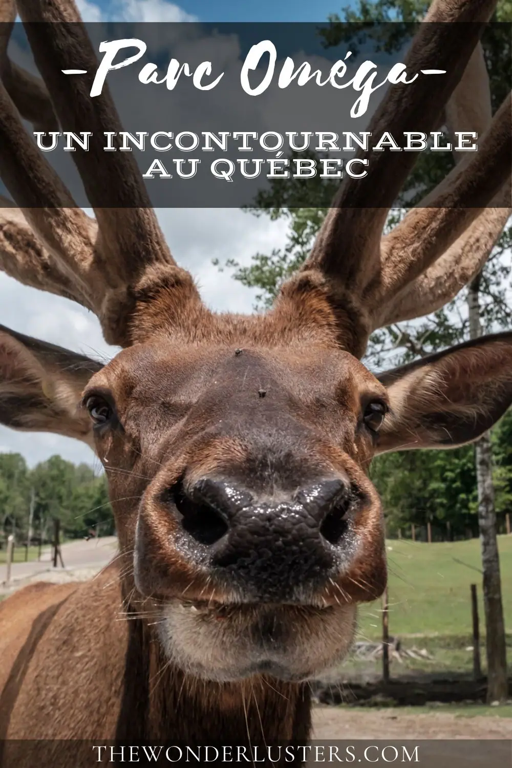 Épingle Pinterest du Parc Oméga 2