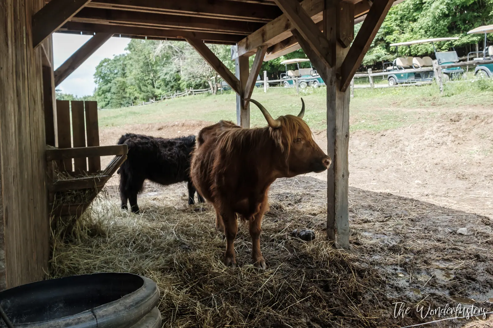 Old farm buildings at Omega Park