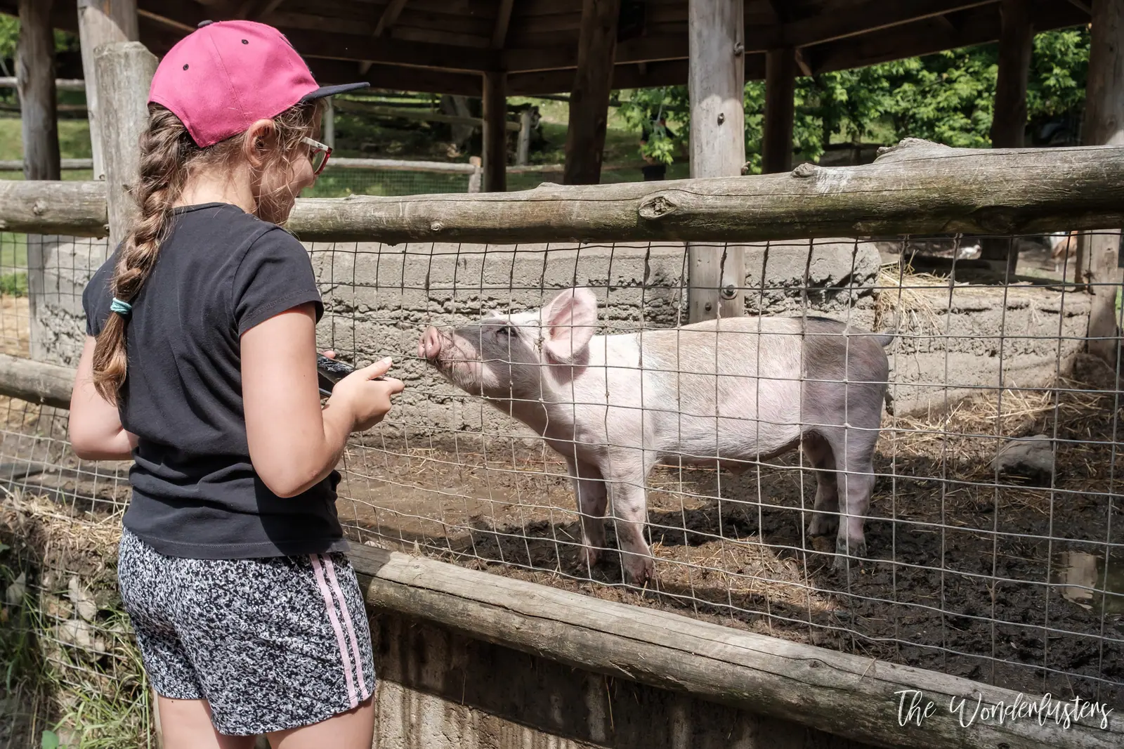 Farm animals at the Omega Park old farm